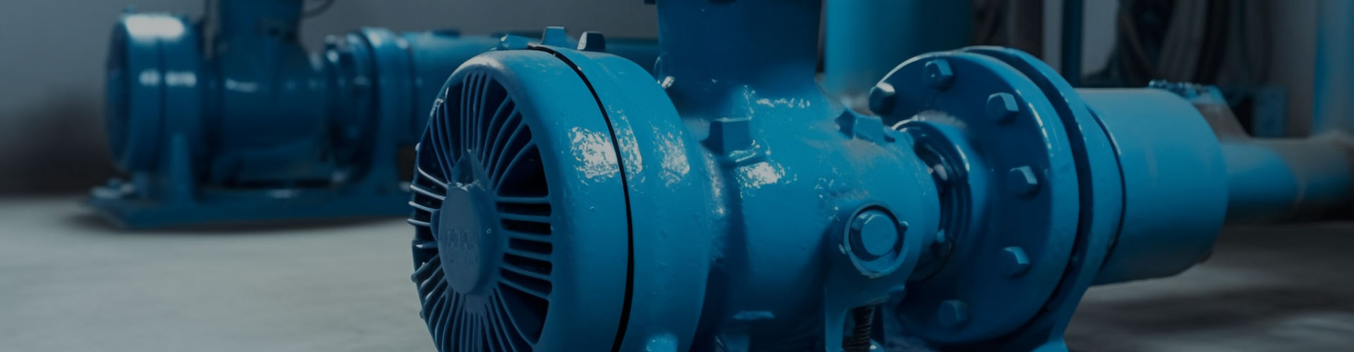 Weifang Xinli Import and Export Co., Ltd.