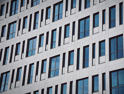 Weifang Xinli Export & Import